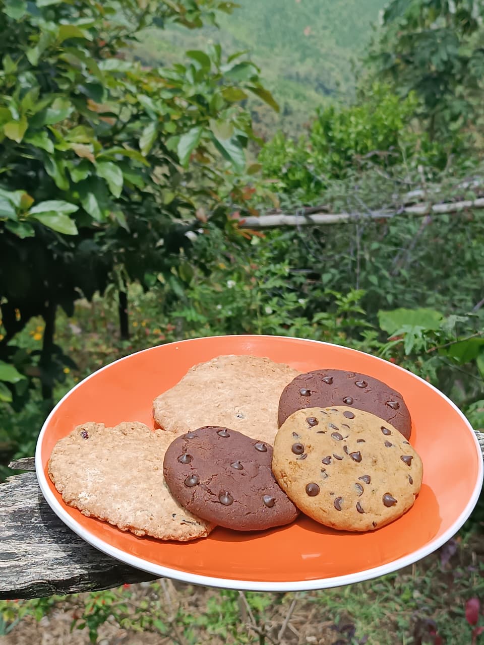 Platos típicos