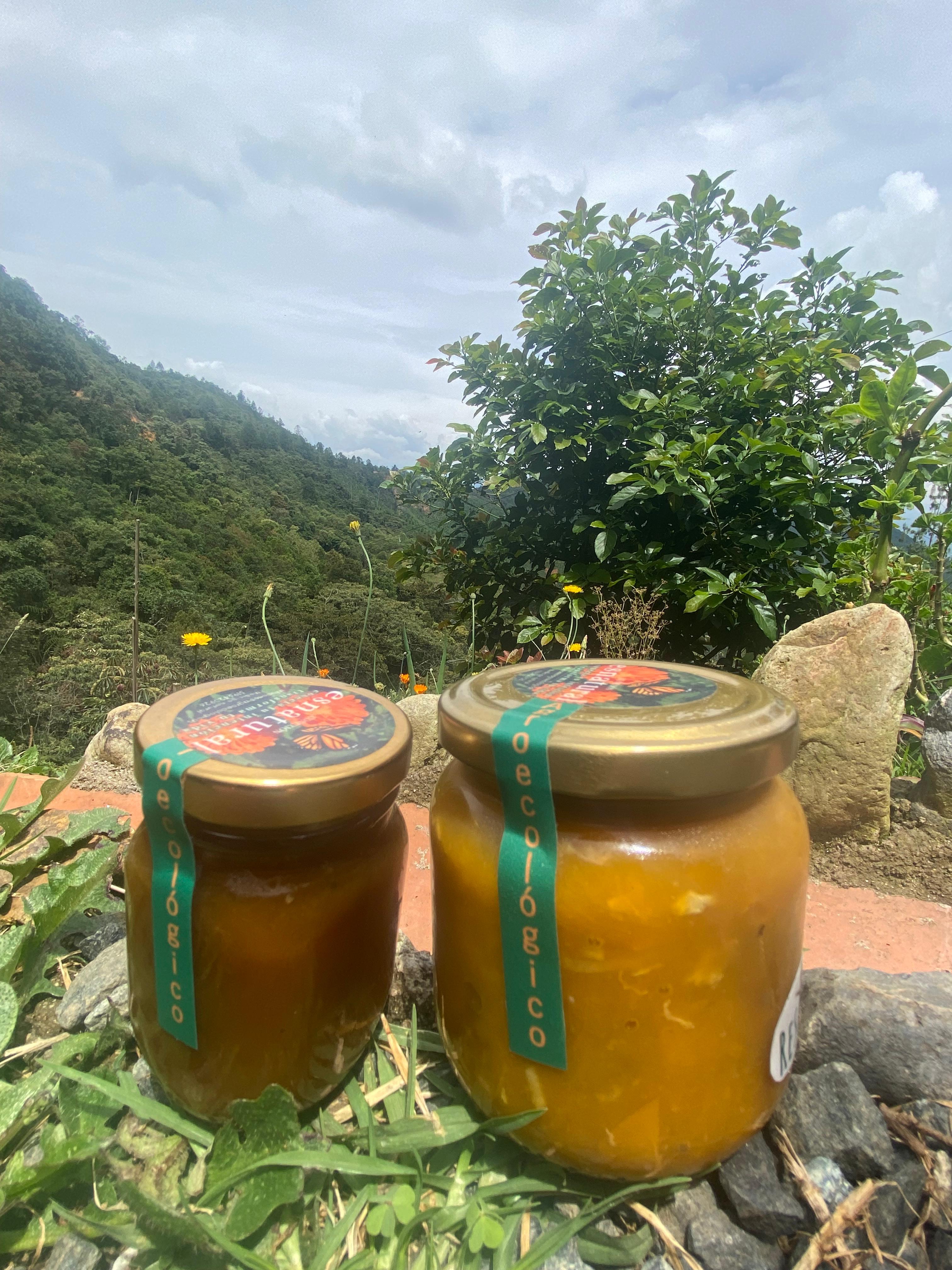 Platos típicos